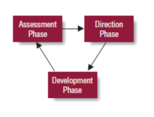 development process