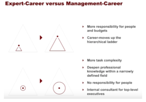 expert and management career